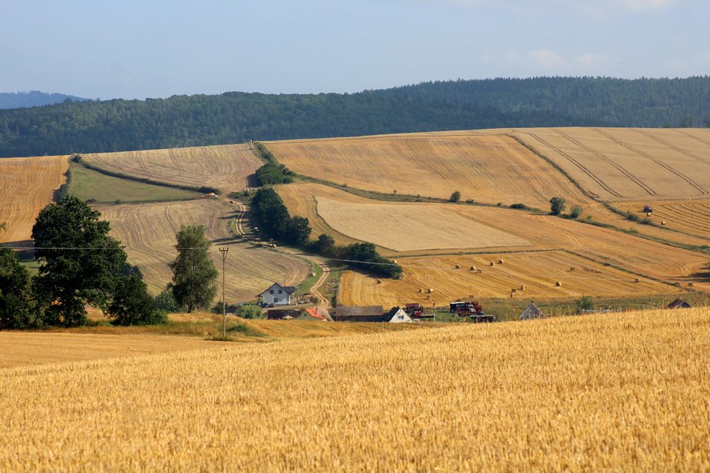 Obrazek przedstawia pola uprawowe z przewagą zbóż. W środku zdjęcia zabudowania oraz maszyny rolnicze.