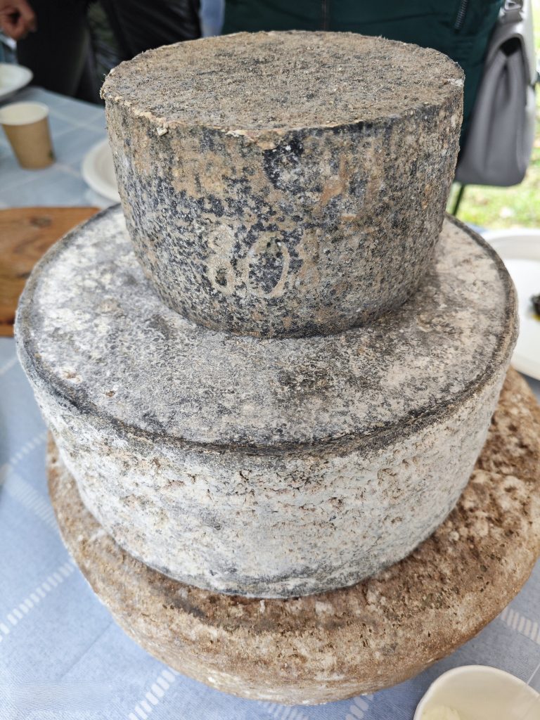 Trzy sery dojrzewające leżące na sobie