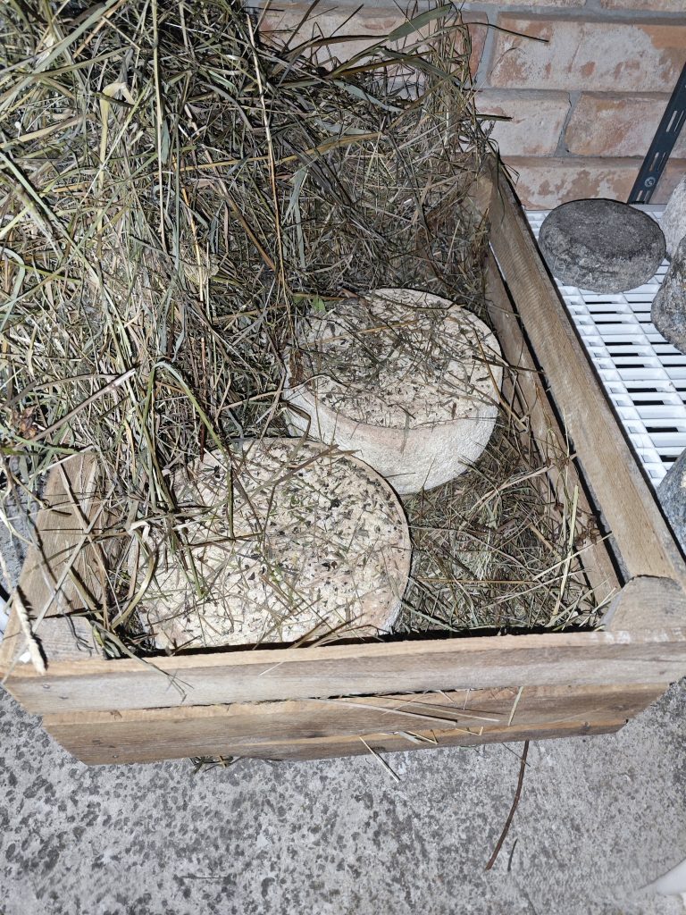 W drewnianej skrzynce na sienie dojrzewają sery