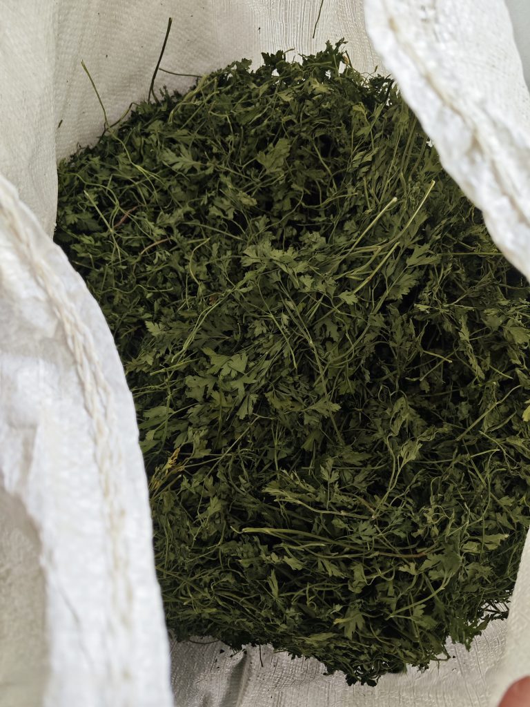 Suszona pietruszka w białym worku z gospodarstwa ekologicznego Kornino