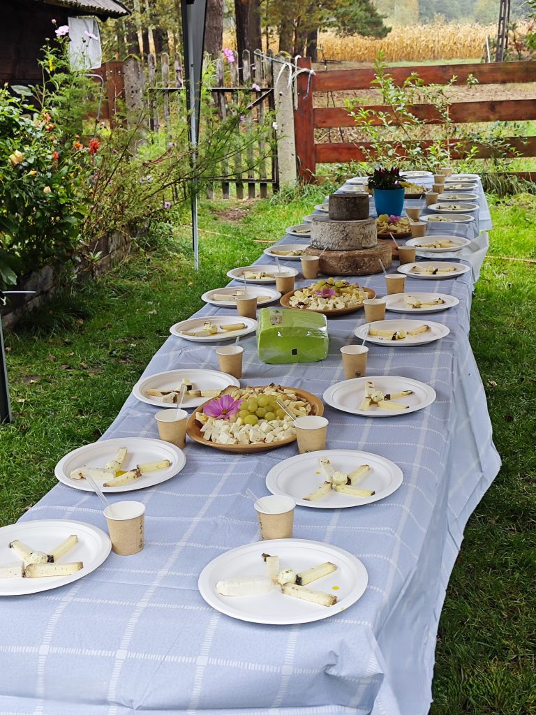 Na dworze stoi długi stół nakryty białym obrusem. Na stole stoją talerzyki z porcjami degustacyjnymi sera wytwarzanego w gospodarstwie ekologicznym.